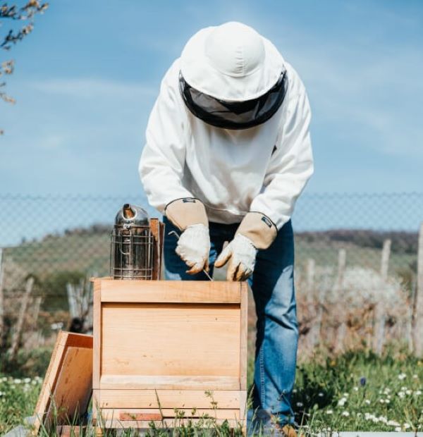 Pčelar sa košnicama